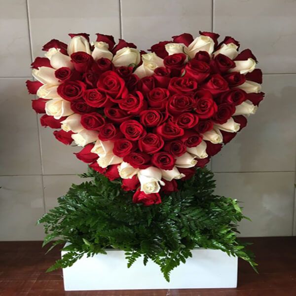 Soulful Heart of Roses