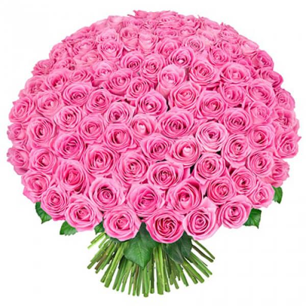 Giantic Pink Rose Cluster – Flowers Hut