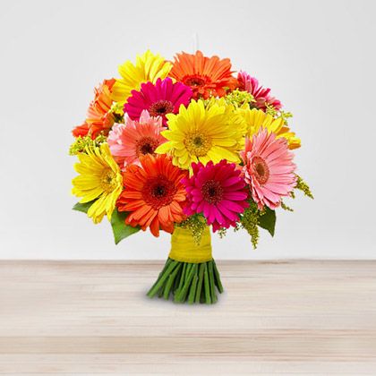 20 MIX GERBERAS