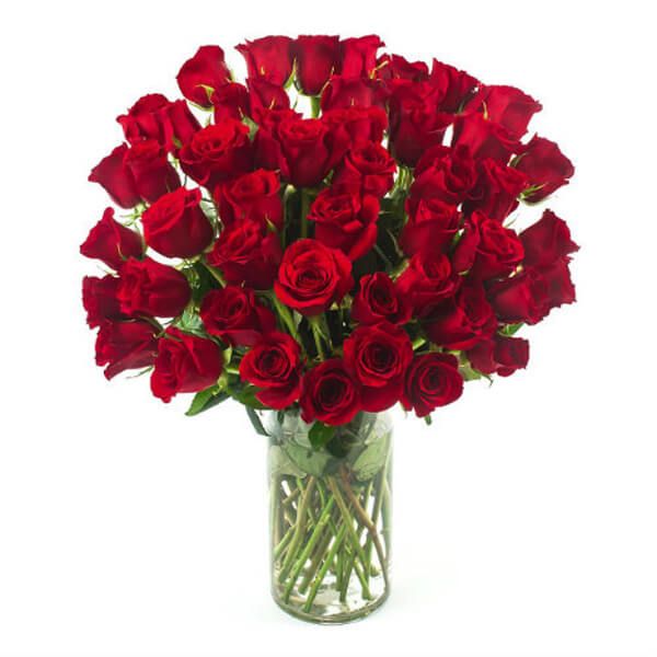 50 Roses in Vase