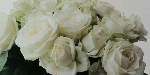 Condolence Flowers