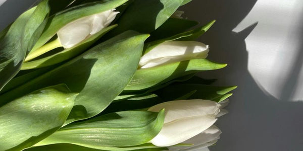 Congratulations flowers