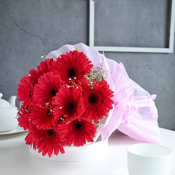 Pink Gerbera