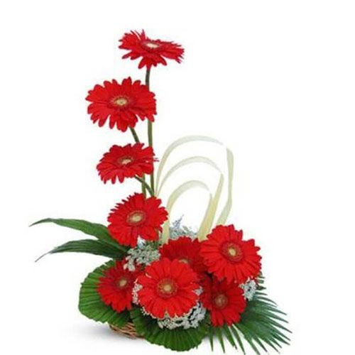 Red Gerbera Basket