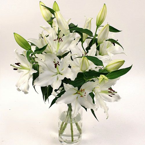 Celebration with Lilies