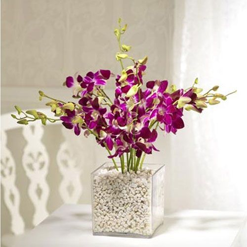 Orchids with Glass Vase