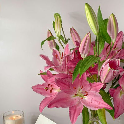 Lilies