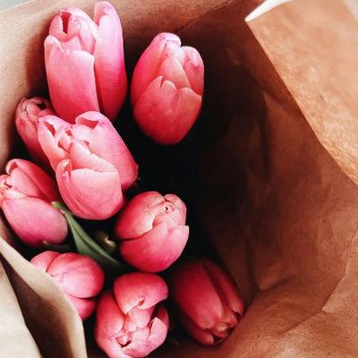 Tulips