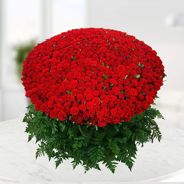 1000 Red Roses