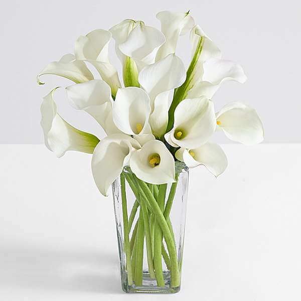 White Calla Lily Arrangement