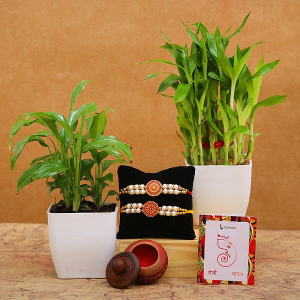 Bamboo & Plant Rakhi Gift
