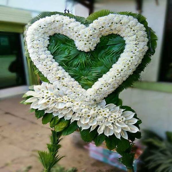 Crazy Daisy Anthuriam Heart