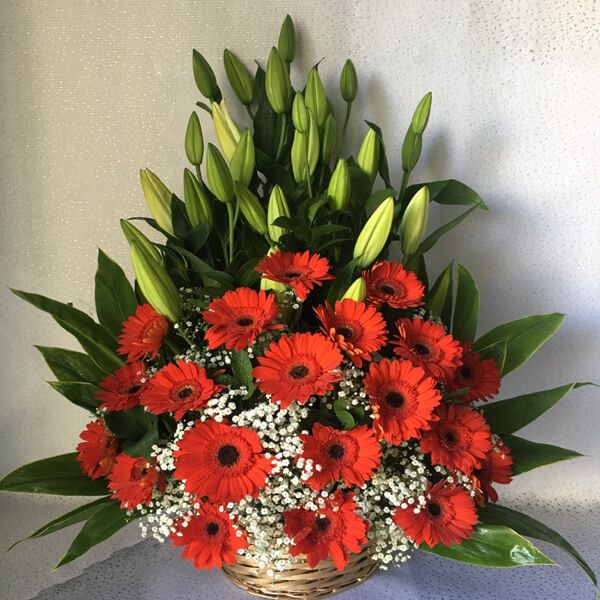 Gerbera and Lilies Basket