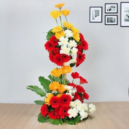 Heights of Carnations and Gerbera