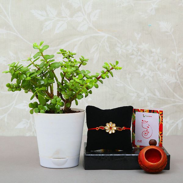 Jady Rakhi Gift