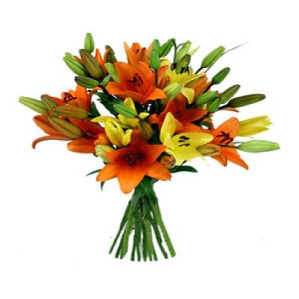 Mixo lilies