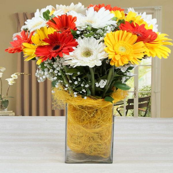 Mixed Gerberas Vase