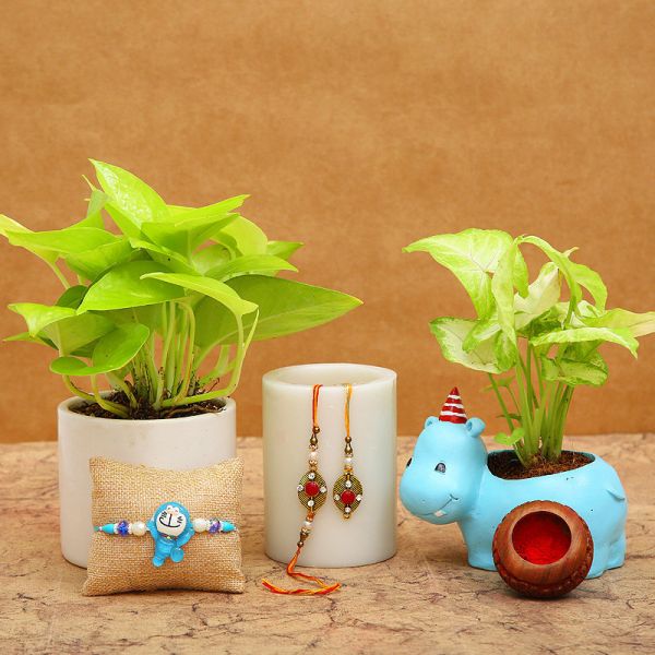 Natural Rakhi Gift
