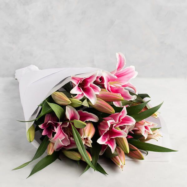 Pink Oriental Lilies