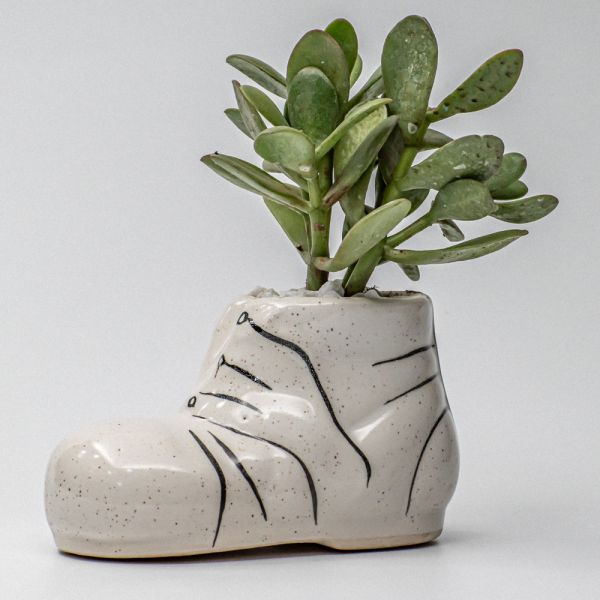 Carasula in Your Shoe