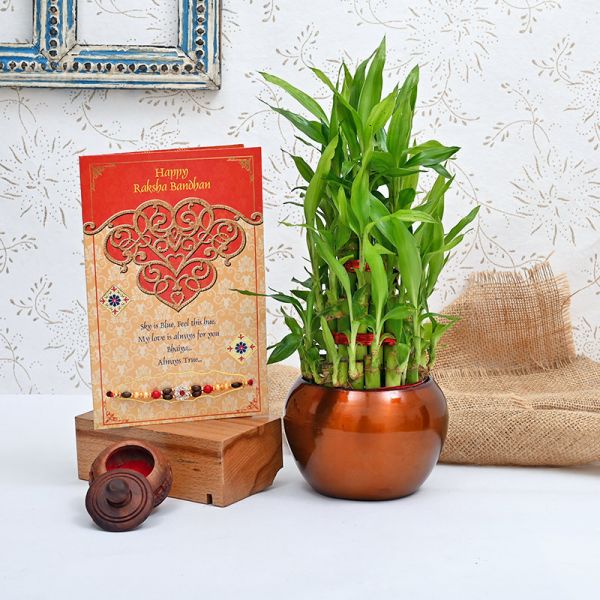 Rakhi with Bamboo