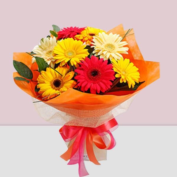 Sweet Gerbera Gift