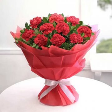 10 Red Carnations
