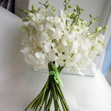 Bunch of White Orchids 