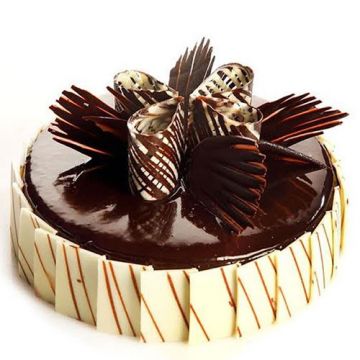 Delicious Chocolate Cake 
