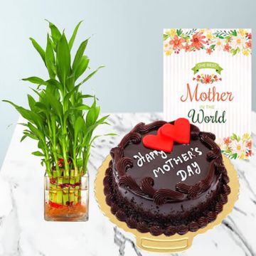 Cake with Bamboo and Card