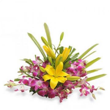 Flat Lilies and Orchids Arrangement