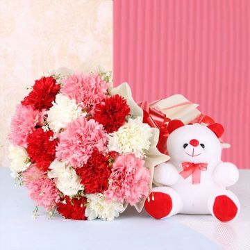 Mix Carnations with Teddy