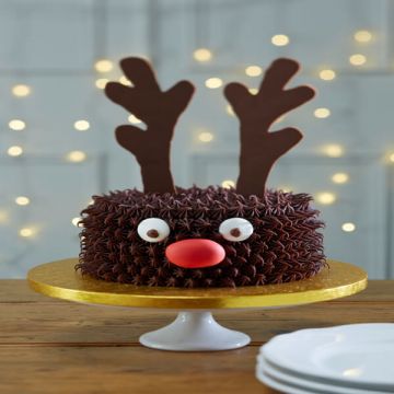 Reindeer Special Cake
