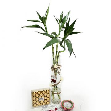 Ferreric Bamboo Diwali Gift