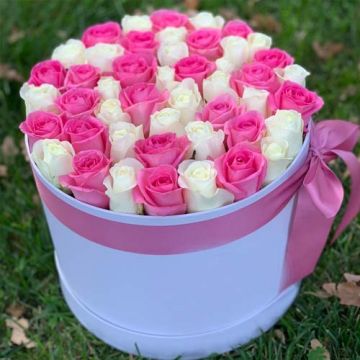 Whitish Pink Roses Box		 		 		