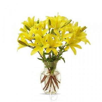 Yellow Lilies in Vase