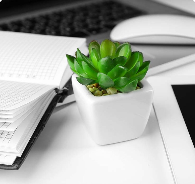 Plants for Office Desks
